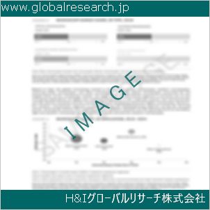 グローバルリサーチ調査資料のイメージ